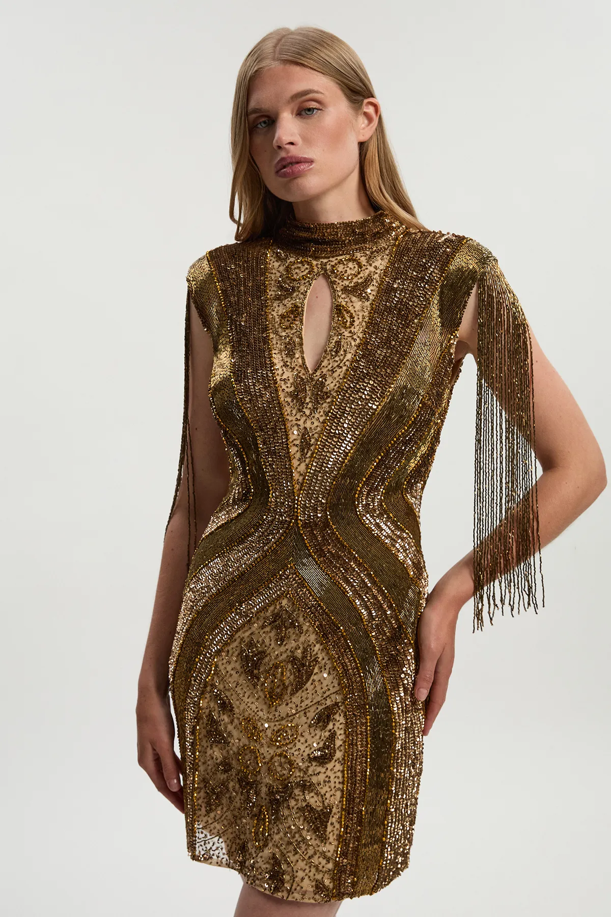 Petite Embellished Beaded Cap Sleeve Woven Mini Dress BKK26608
