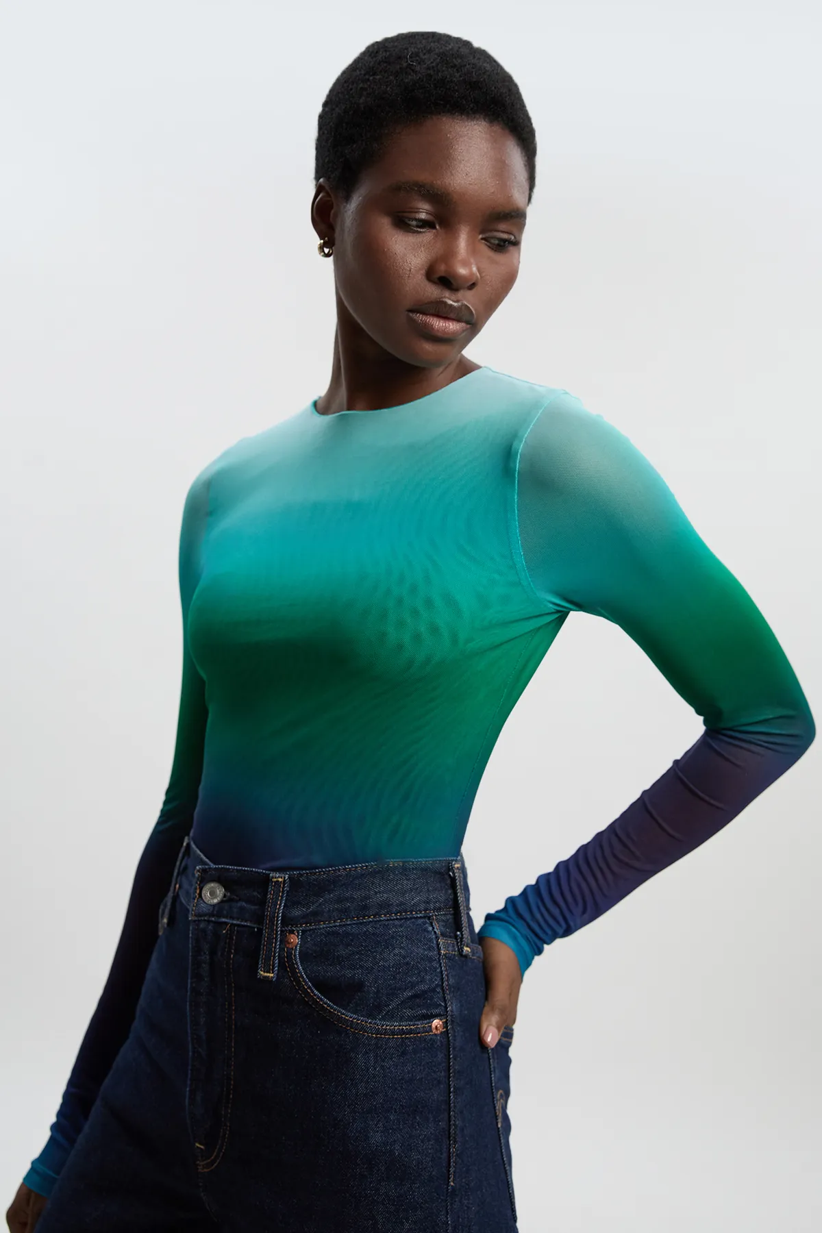 Long Sleeve Ombre Mesh Bodysuit BKK26898