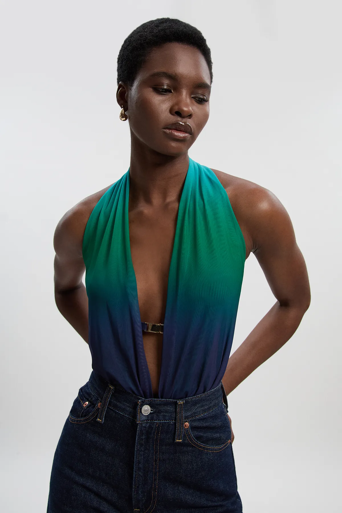 Halter Neck Trim Detail Plunge Ombre Mesh Bodysuit BKK26899