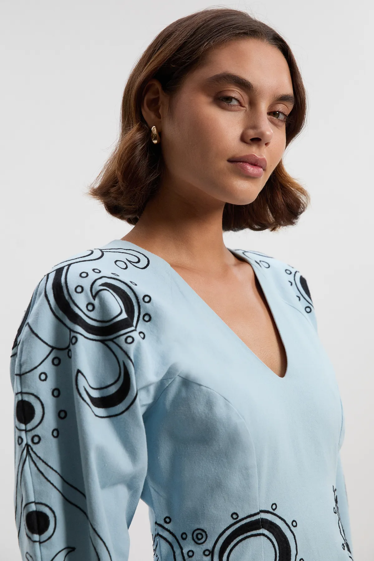 Petite Baroque Embroidered Long Sleeve Twill Woven Midi Dress BKK26116