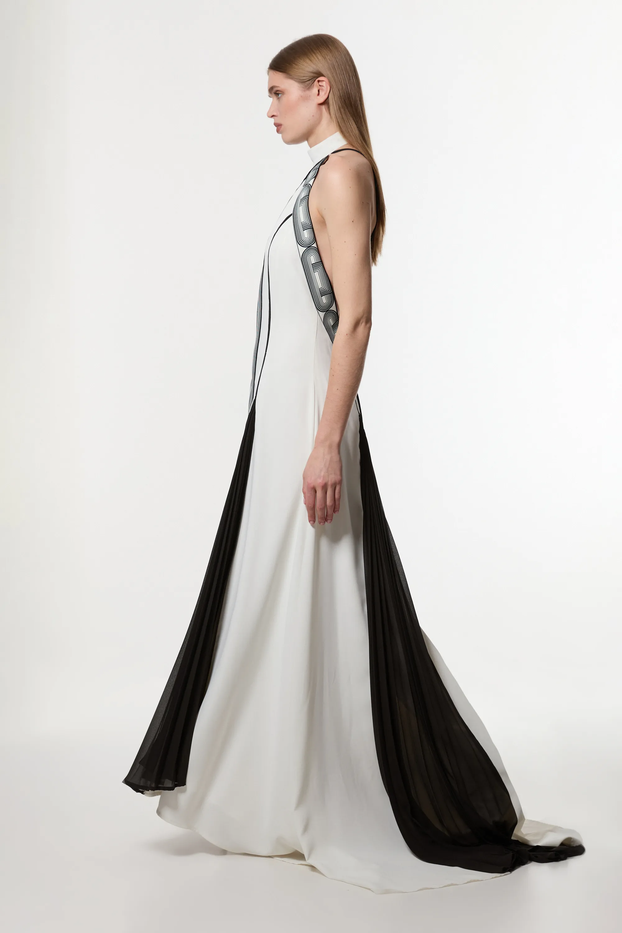 Amelia Graham Petite Printed Statement Woven Gown BKK23434